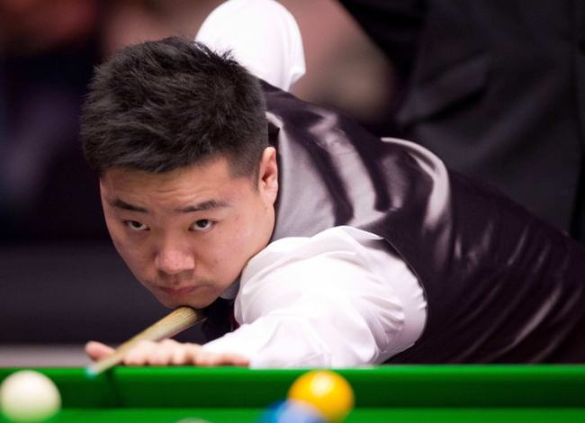 权威认证背 权威认证背