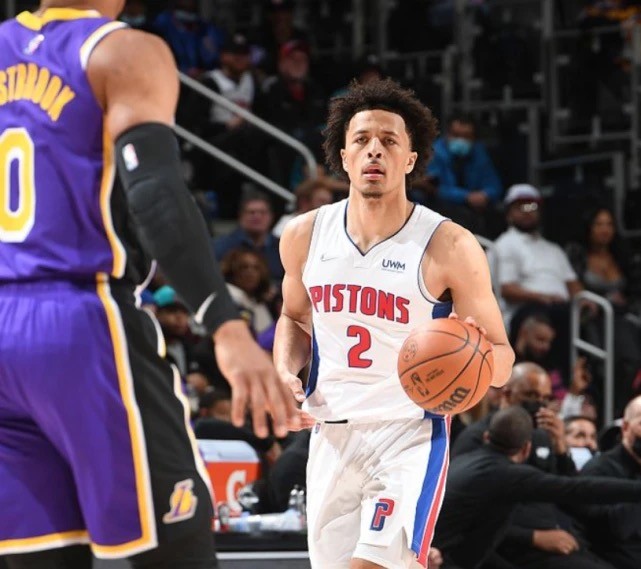 凭借其高效 凭借其高效